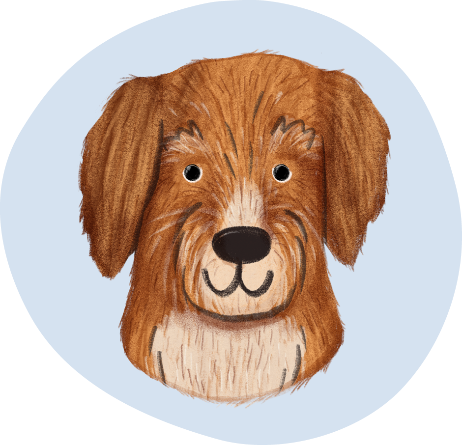 Cartoon Dog