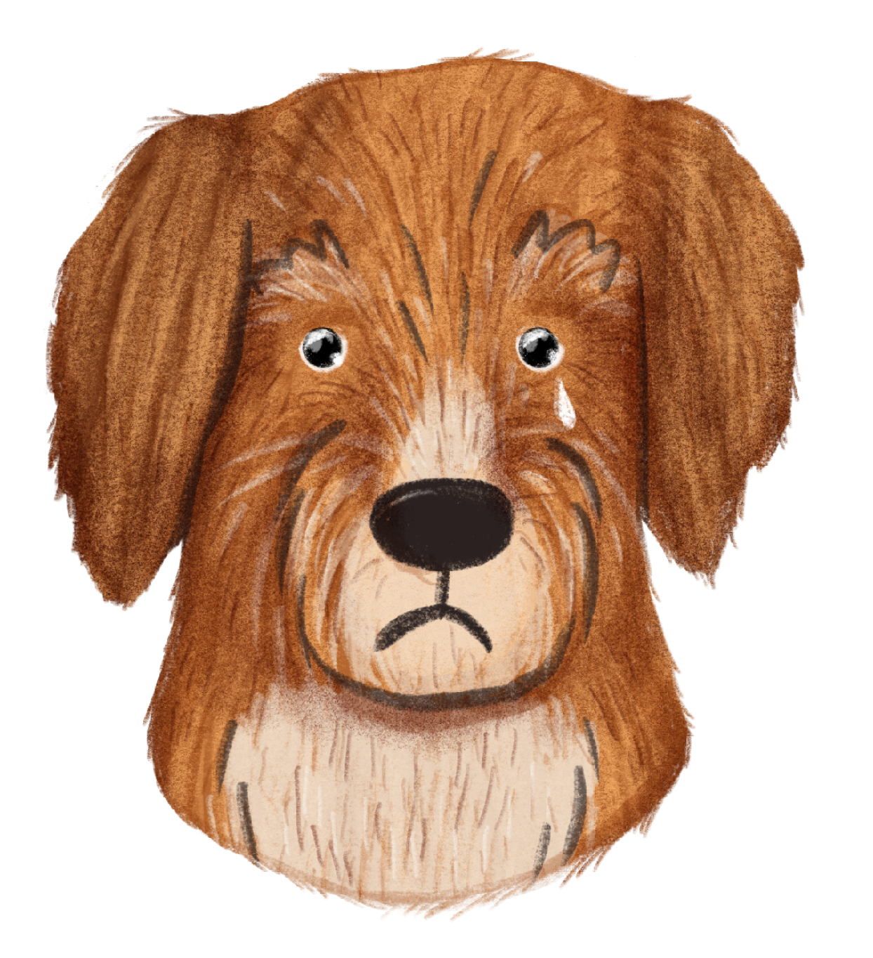 Trauriger Hund